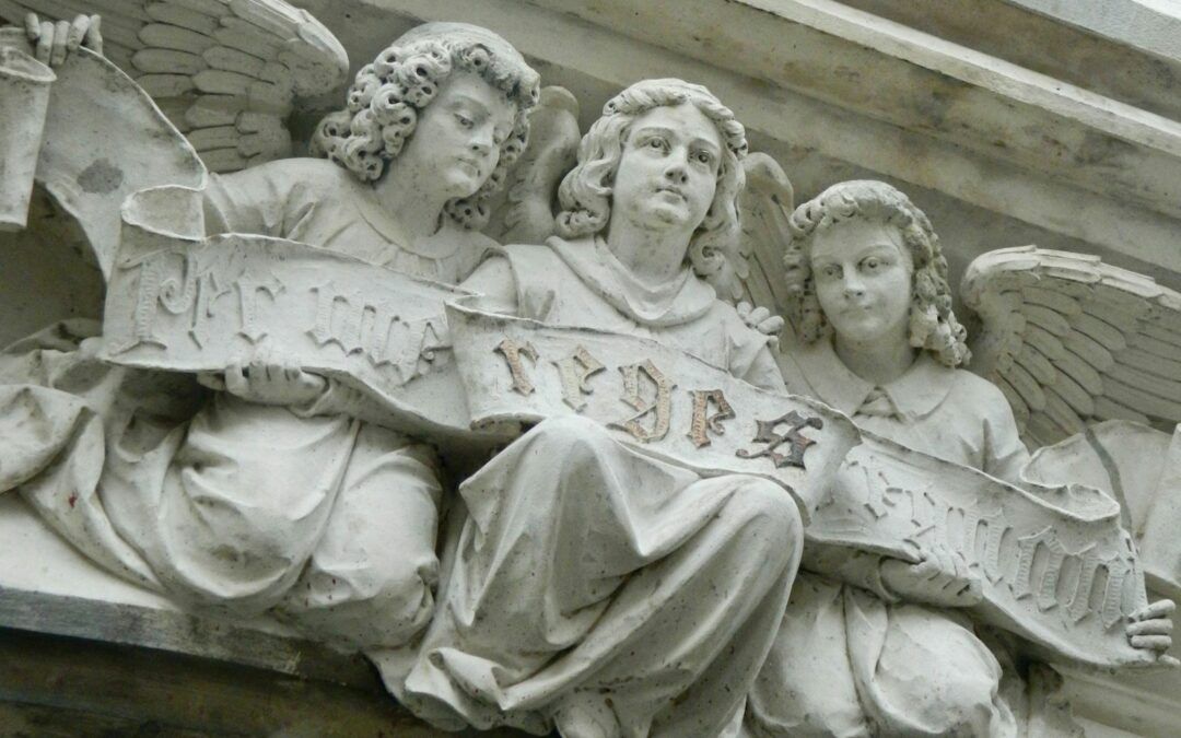 Podziękowanie od Aniołów Miłosierdzia